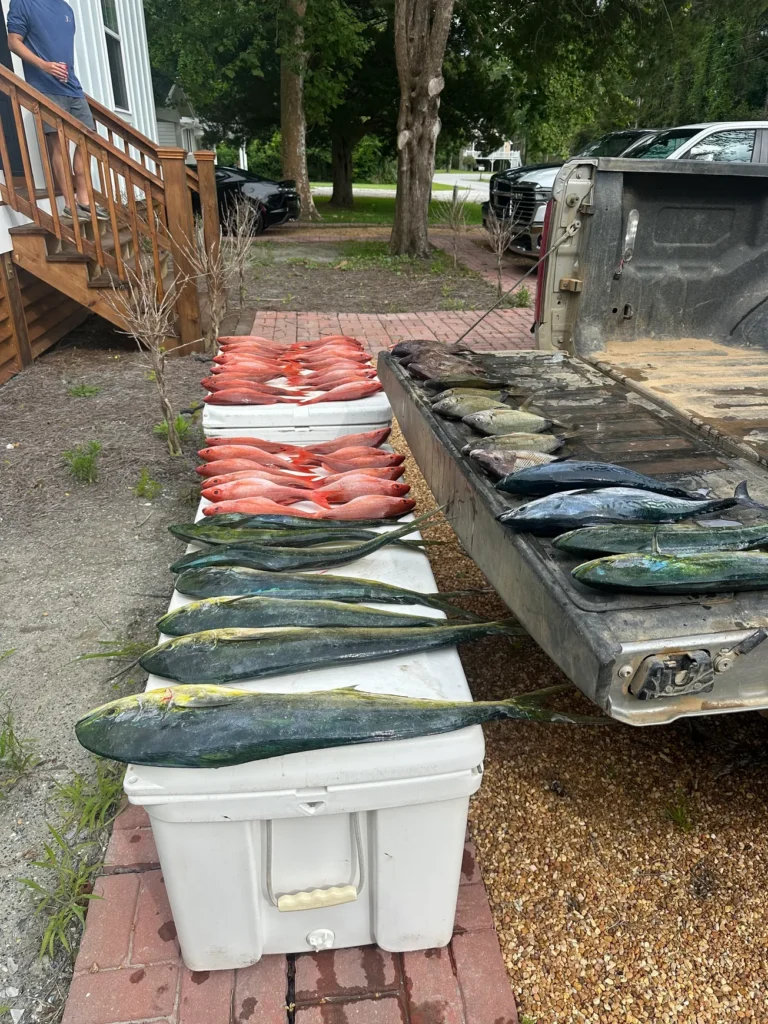 obx 12