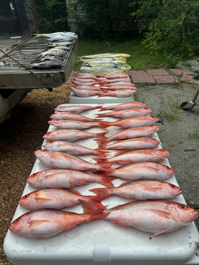 obx 13
