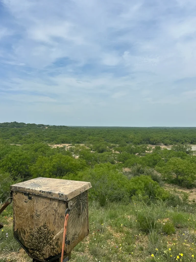 Texas Hog Hunts hh 3