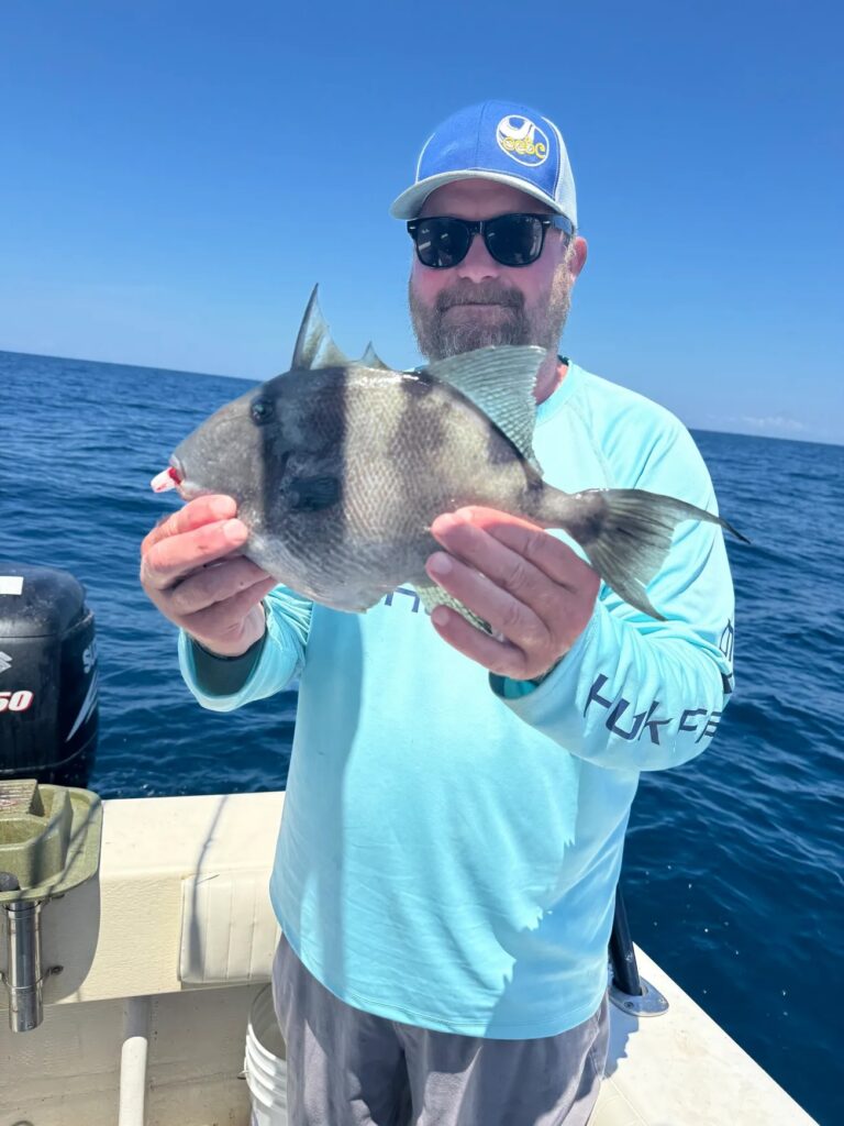obx 4 copy